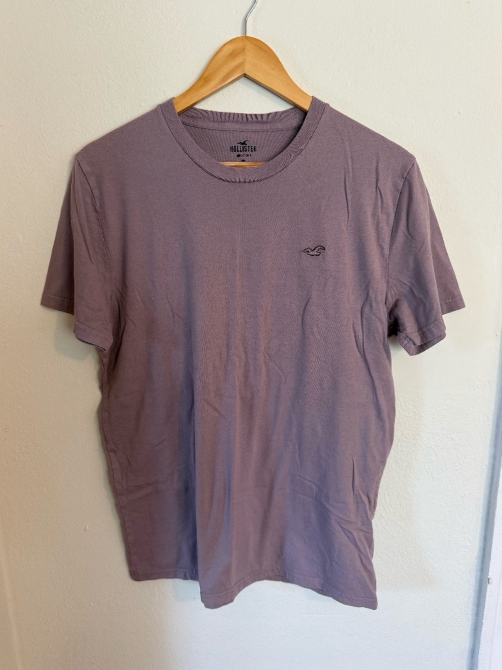 Men's Hollister Cotton T-Shirt